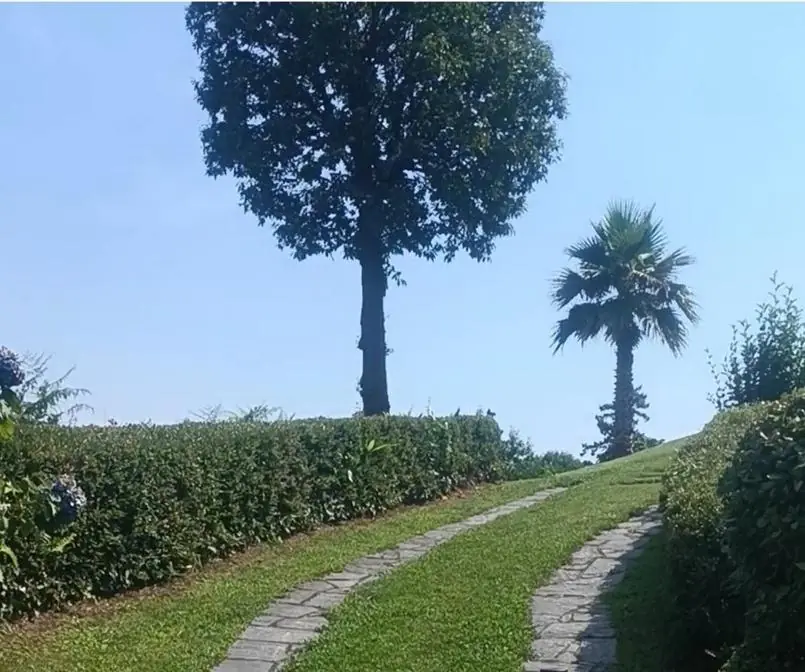Viale nel parco del residence