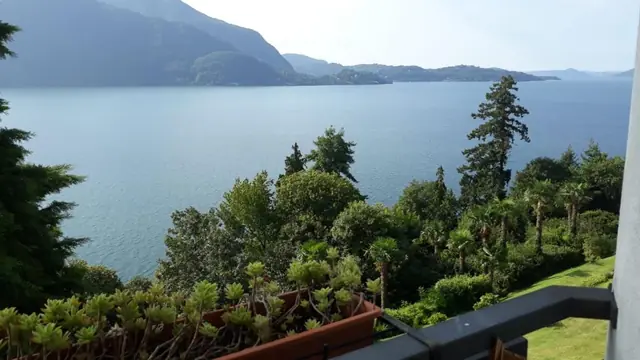 Il lago tra la vegetazione