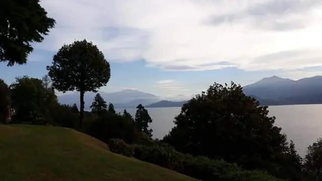 Silhouette di alberi sul lago