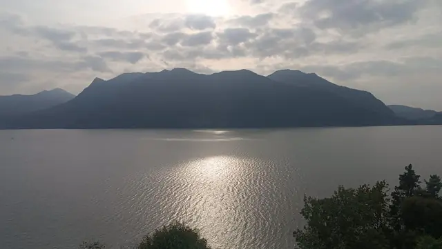 Luce argentata